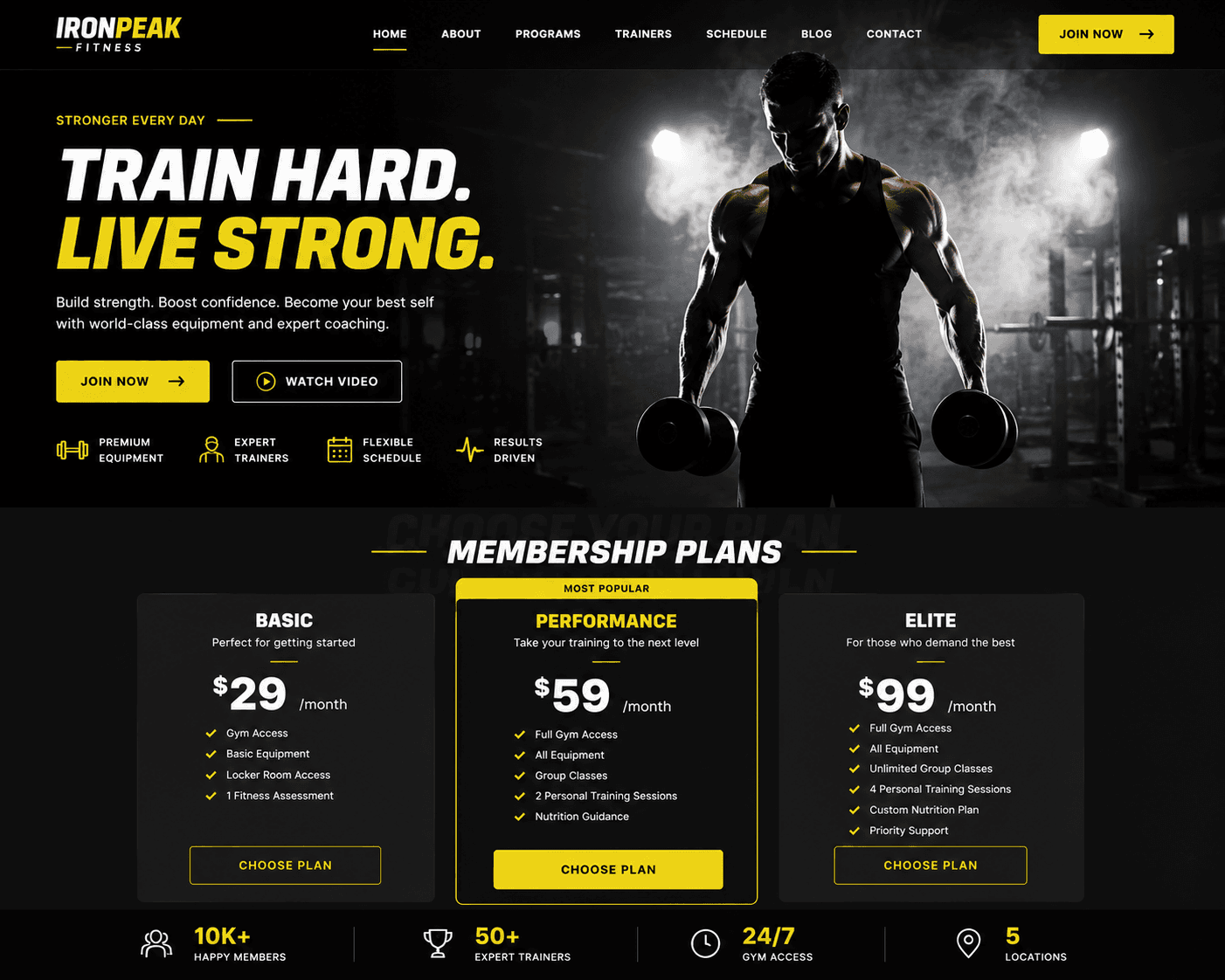 FitZone template preview